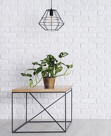 Fresh green potted plant standing on square table in room with empty brick wall
