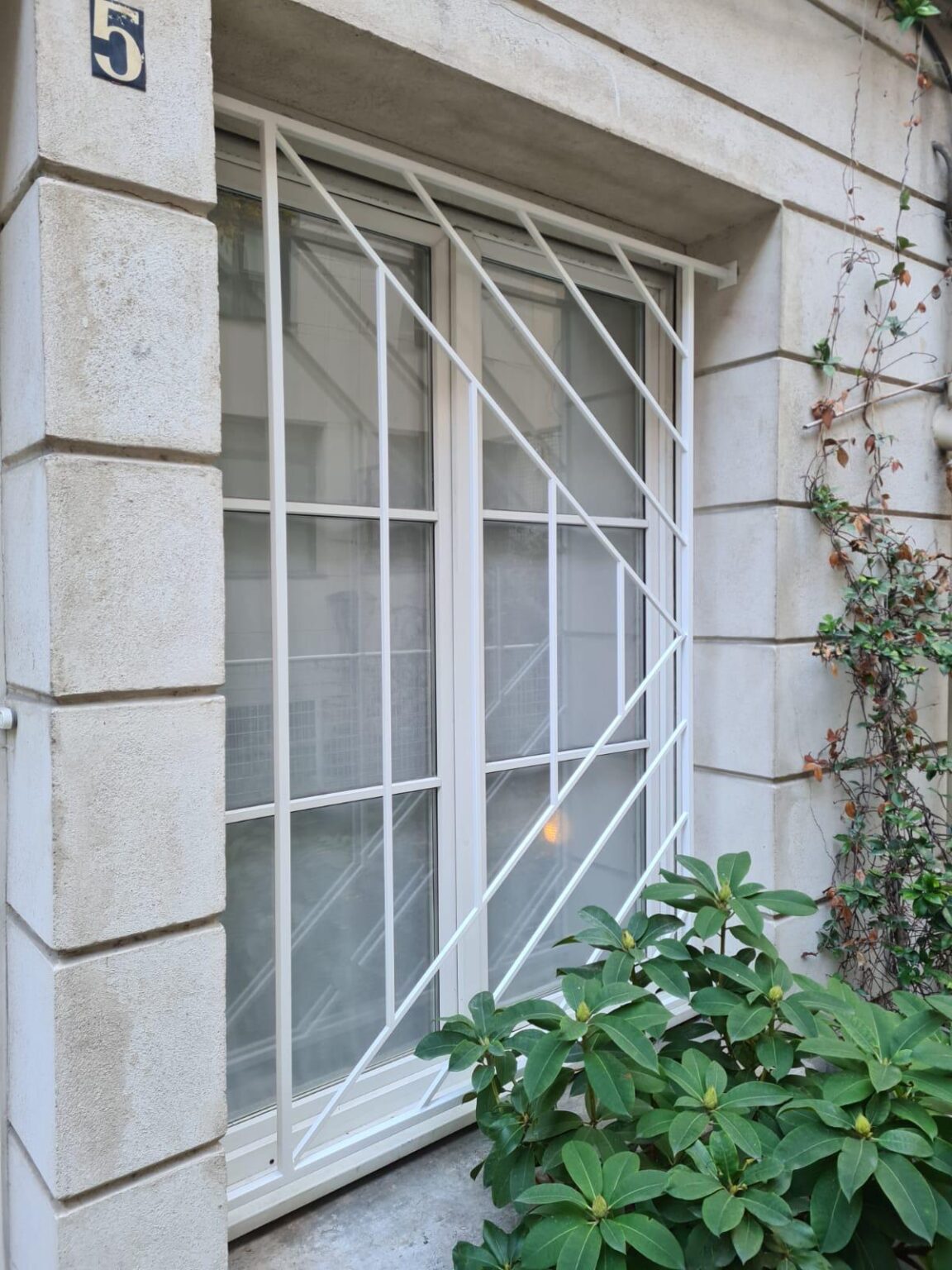 WhatsApp Image 2025-03-17 at 14.33.05